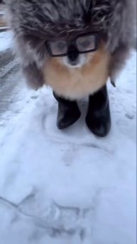 Косплей 199 лвл