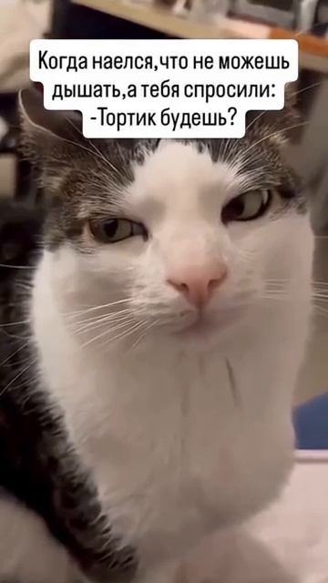 тортик будешь #shorts