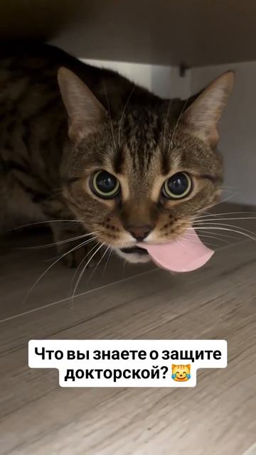 Защита докторской... 🎓✨ #наука #достижение #успех #колбаса ?