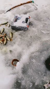 рыбалка зимняя