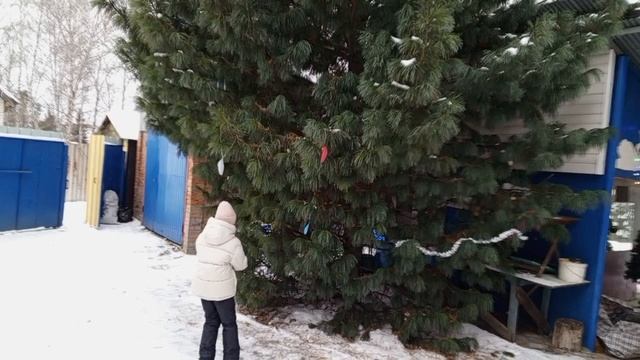 друзья помогли почистить двор и украсить к новому году