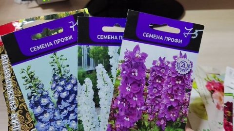 Что посеять в декабре? Обзор семян цветов #семена #сад #семенацветов #обзорсемян #эустома #кактус