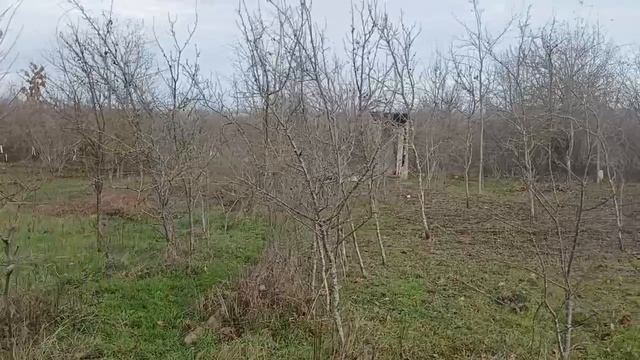 1. декабрь 2025