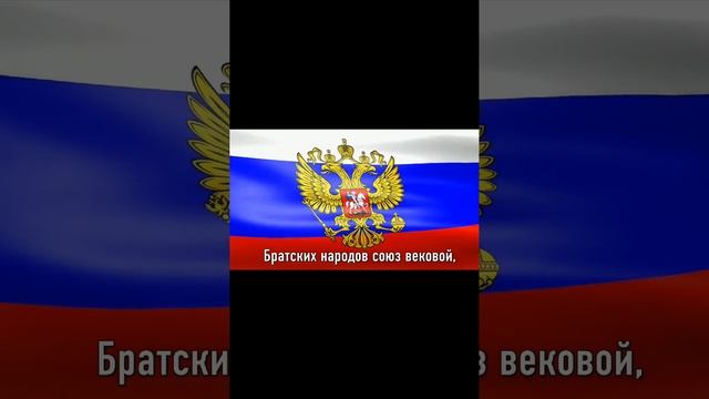 screen-20251214-181628.mp4