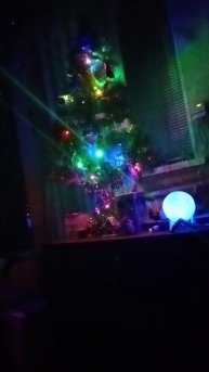 капелька новогоднего настроения 🤗🌲🧑🎄❄️