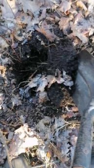 Закрытие сезона по копу #коп #осень