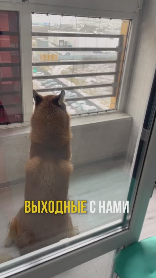 Чем занимался ты? ☺️