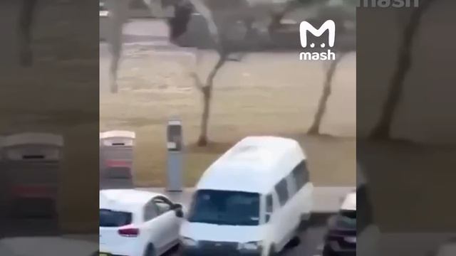 Одного из стрелков на пляже в Австралии обезвредил случайный прохожий.