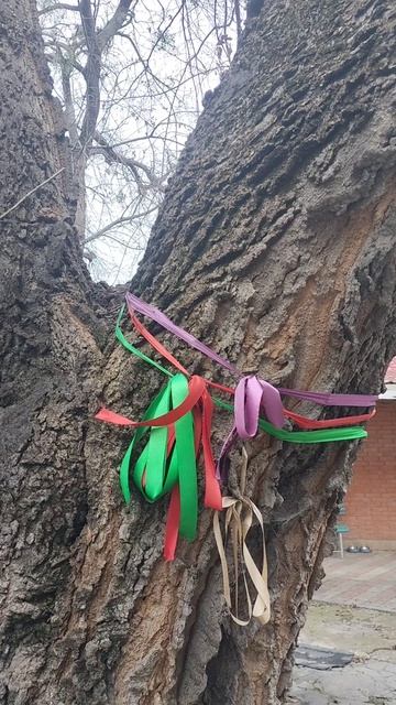 Заблуждение 14 декабря