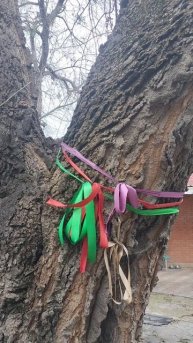 Заблуждение 14 декабря