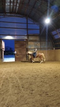 Анна и Каспер, подъем в галоп с рыси и переход в рысь, в манеже.