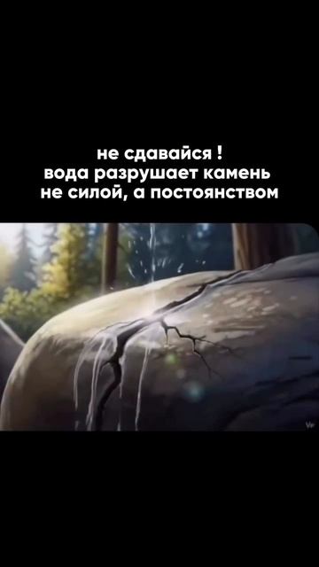 Всё о рабочих бизнес-связках в моем ТГ, ссылка в шапке профиле☑️