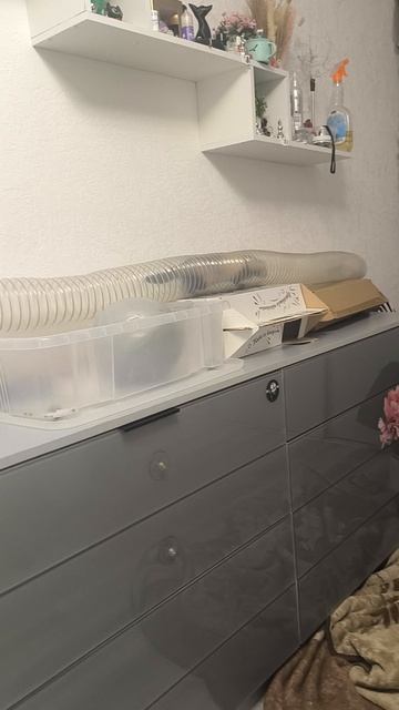 Триса и Сайка