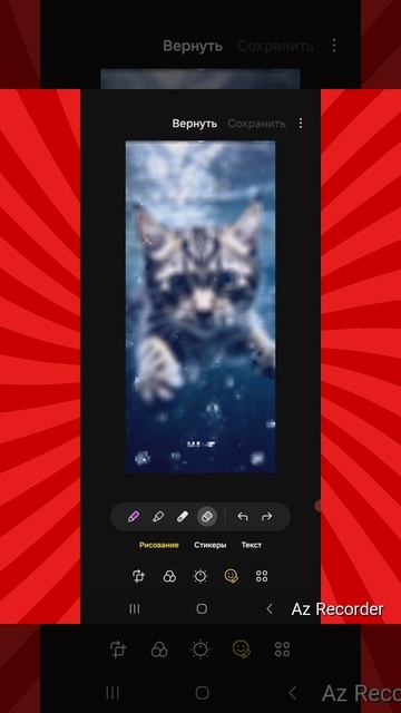 котик купается в воде 🤩