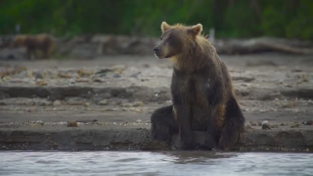 Стихи о Боге - часть 3 - читает Наталья Драволина