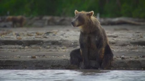 Стихи о Боге - часть 3 - читает Наталья Драволина