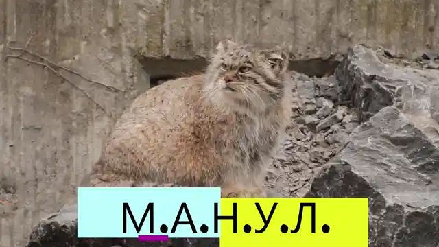 СПАСИБО ЗА 300 ПОТПИСЧИКОВ!!!