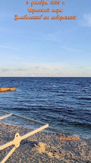 3 декабря 2025 г. Форосский парк. Райский уголок #крым #ялта #ялта2025 #форос #форосскийпарк