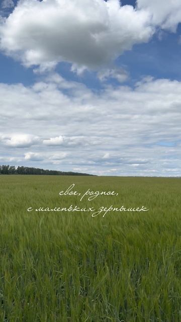 Свое, родное