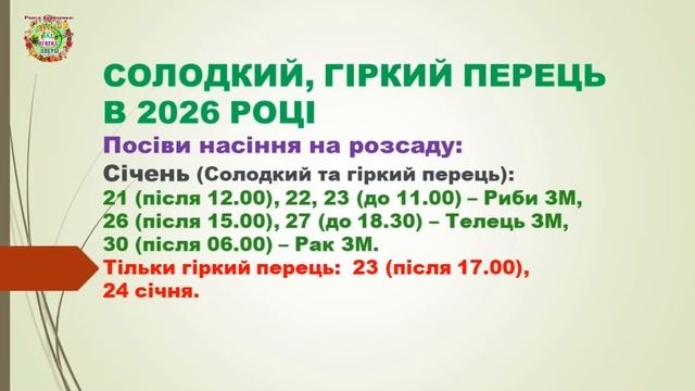 Перец в 2026: когда сажать по лунному календарю и как получить урожай в дождливое лето
