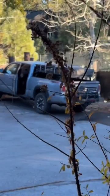 Неожиданный пассажир