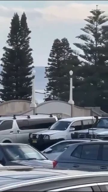 Стрельба на пляже в австралийском Сиднее.
Неизвестные открыли огонь во время празднования начала е