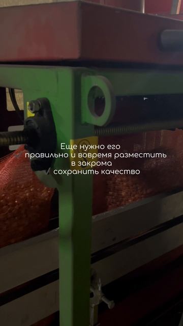 Посадить и вырастить - это еще не всё 🙌🏻