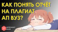 Как понять отчет Антиплагиат ВУЗ - на что смотреть кроме процента и как сдать работу на отлично
