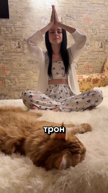 Мейн куны  - это нечто! 😻❤️ #кот #мейнкун