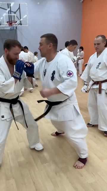 Кёкусинкай / Шихан Алексей Горохов / УТС Мурманск (6.12.25) #13