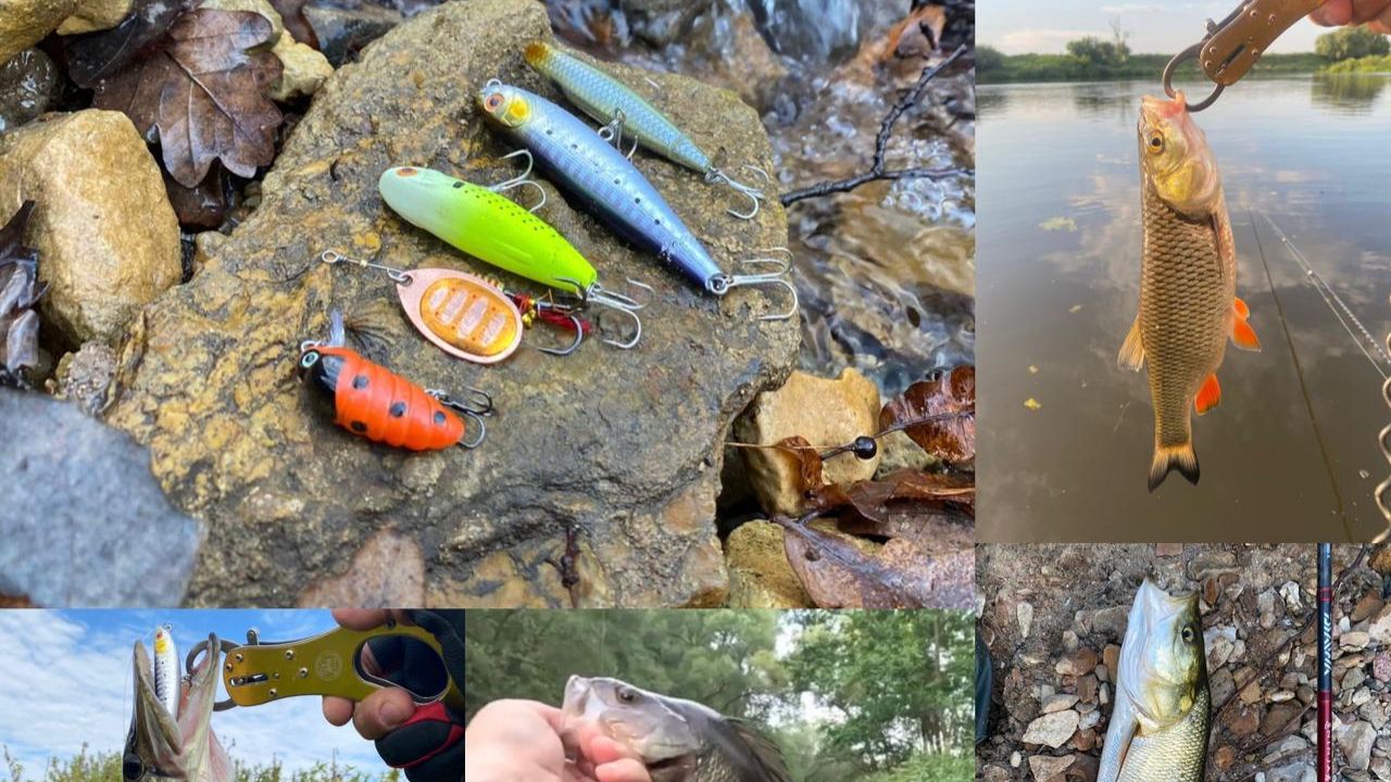 Топ приманок и итоги сезона 2025