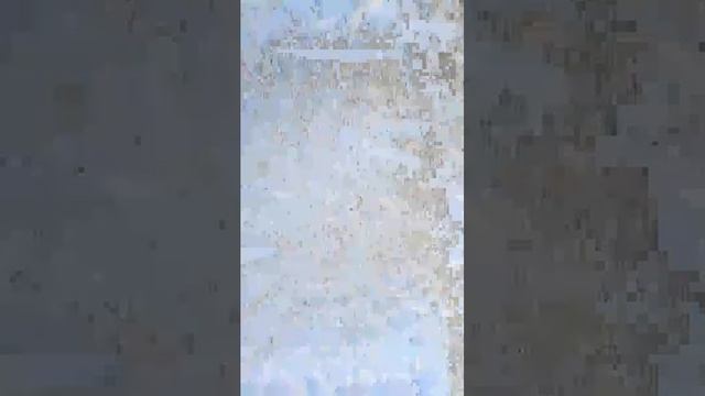 зимний стрим