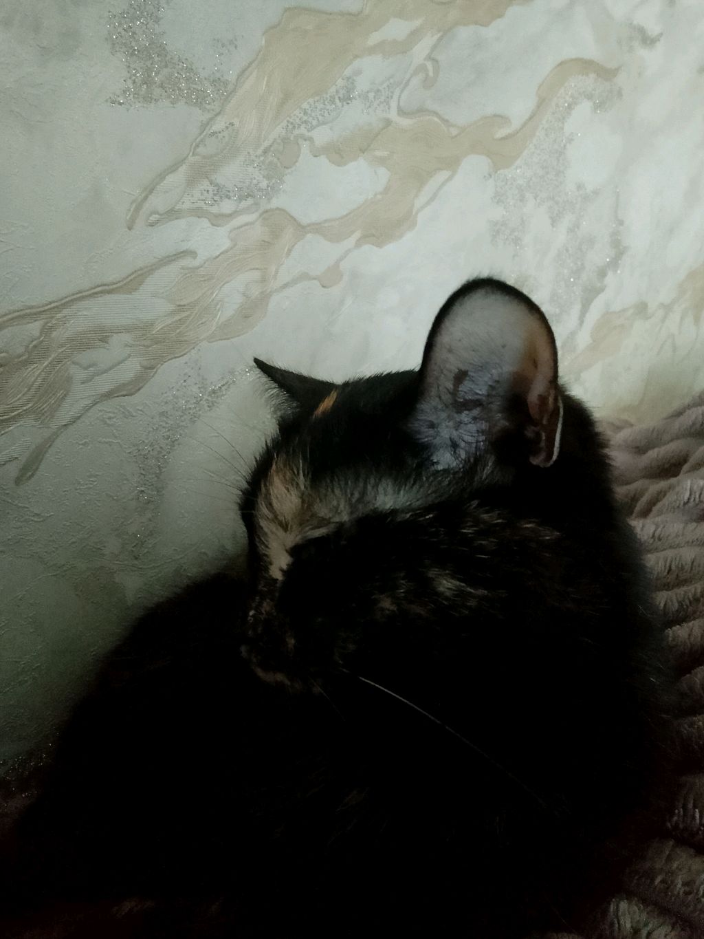 готовимся к концерту!