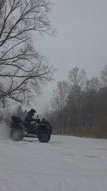 дождался снега