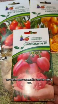 Посев томатов для позднего урожая: как получить крепкую рассаду до зимы 🍅🌱