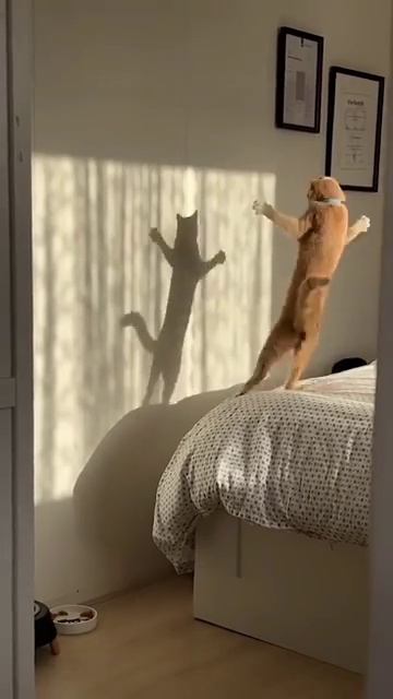 Что ты такое?