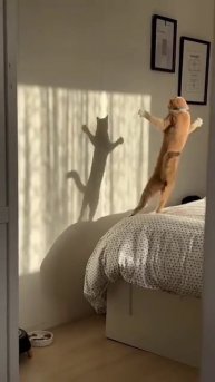 Что ты такое?