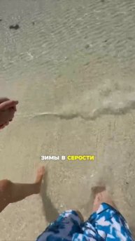 Что может дать работа «лэшмастера»