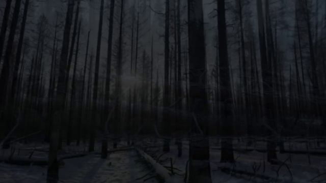 Ёлочка росла