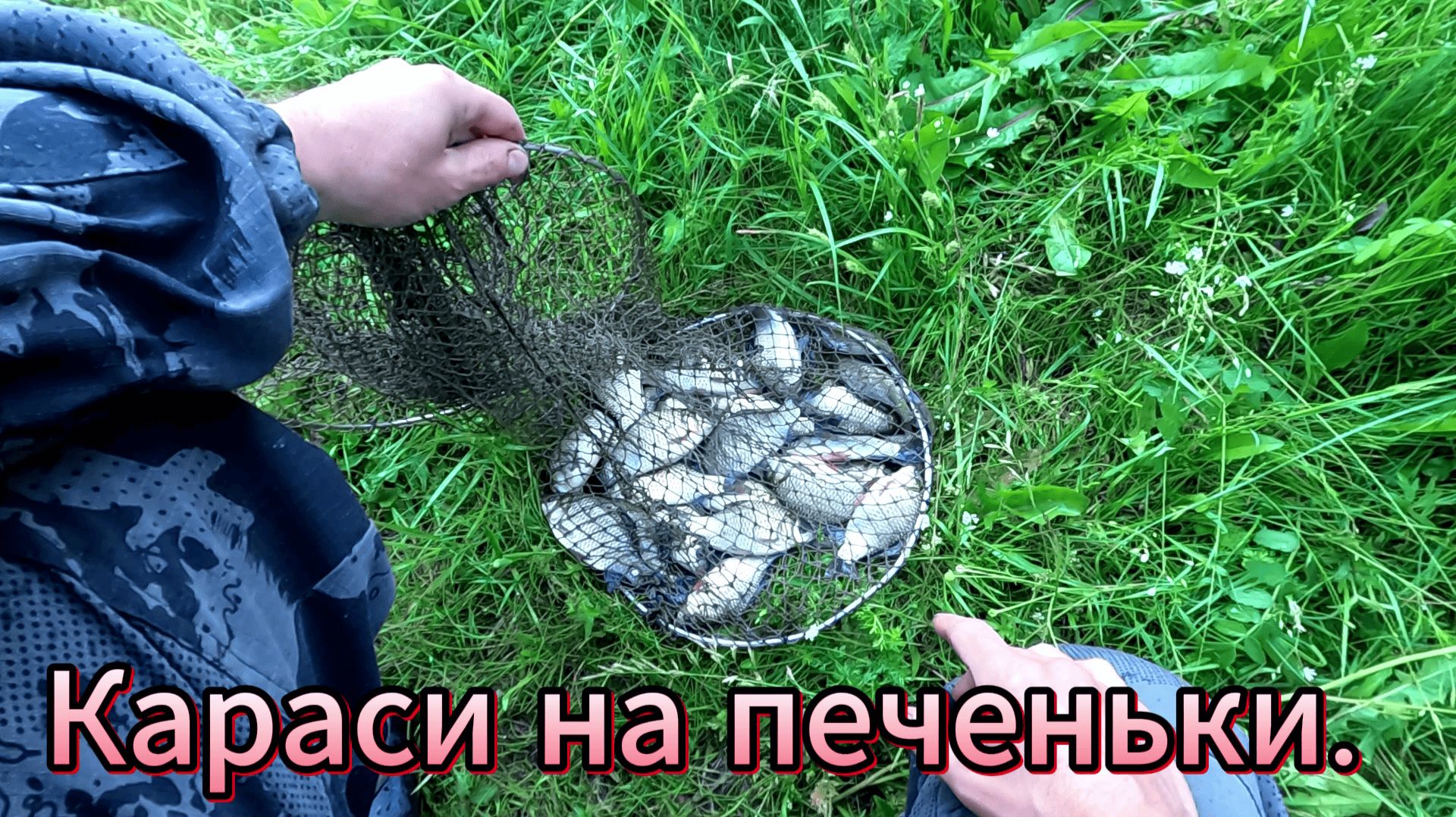 Рыбалка. Караси любят печеньки