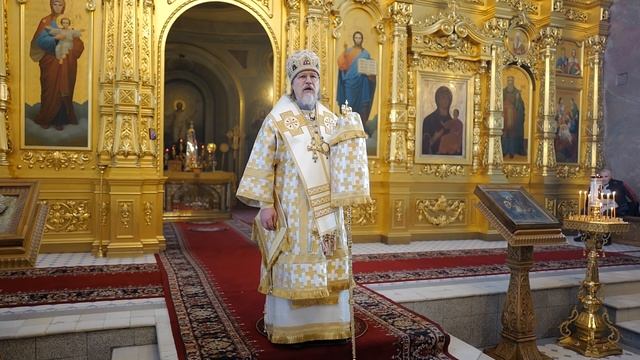 Проповедь митрополита МАРКА. Неделя 27-я по Пятидесятнице. Рязань, 2025 г.