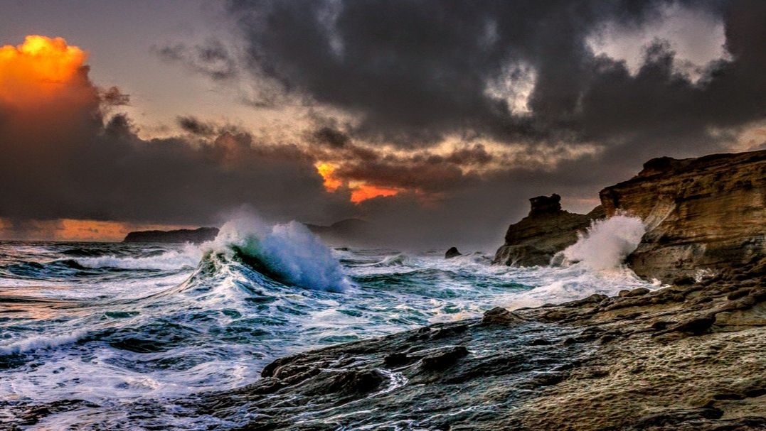 Шторм и пальмы