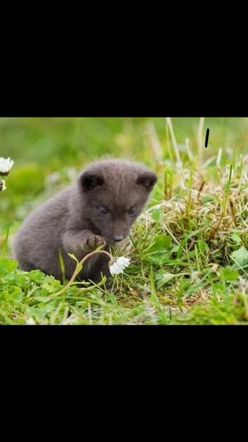 ЖИЗНЬ КАКОЙ-ТО
ЧУШЕРАКЕАБЕРЕРЫ