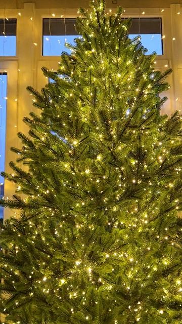 12345 начинаем Ёлочку наряжать!