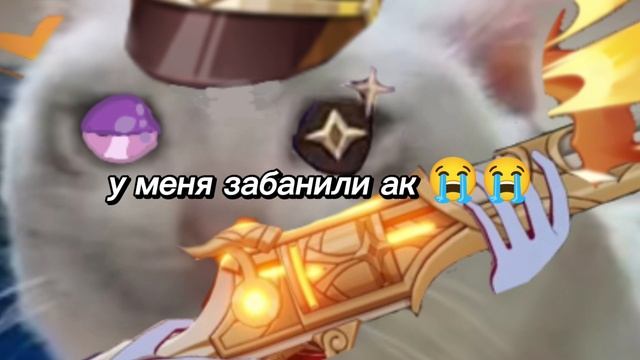 у меня забанили аккаунт 😭