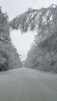 Зима близко, заснеженная дорога. #природа #зима #дорога #лес