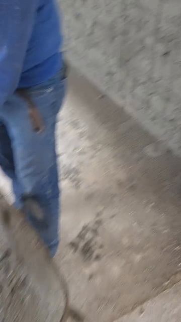 -2331243472555512248