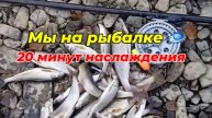 Мы на рыбалке 🐟