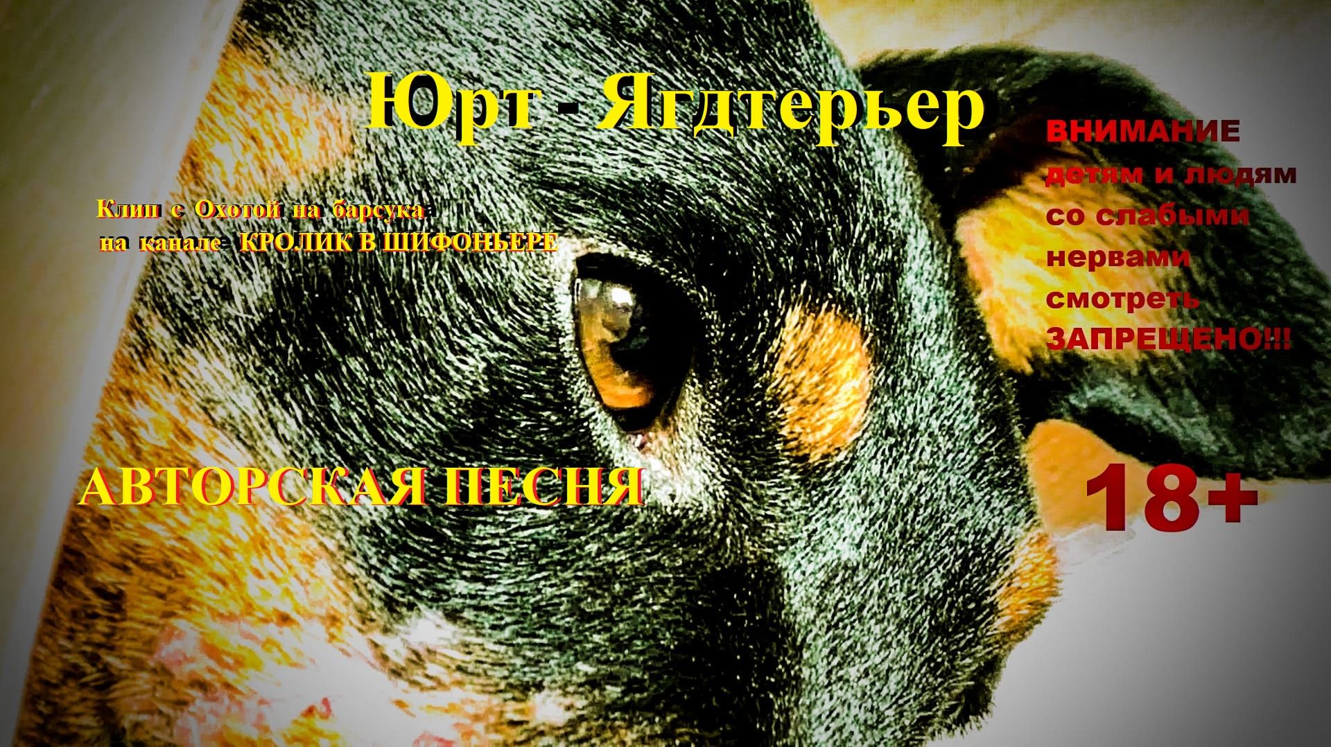 Авторская песня. Охота с Ягдтерьером.