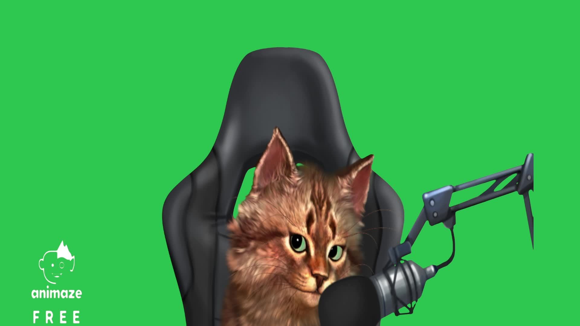 Балуемся с виртуальной машиной